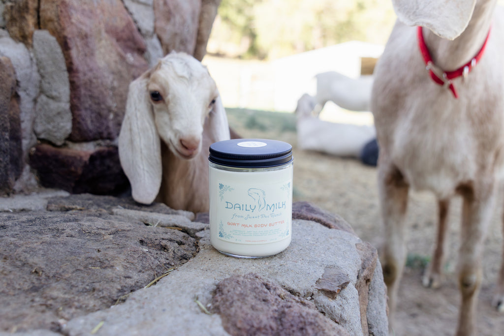 Body Butter - Winter Milk