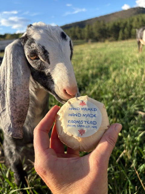 Milk Bar - Raw Milk